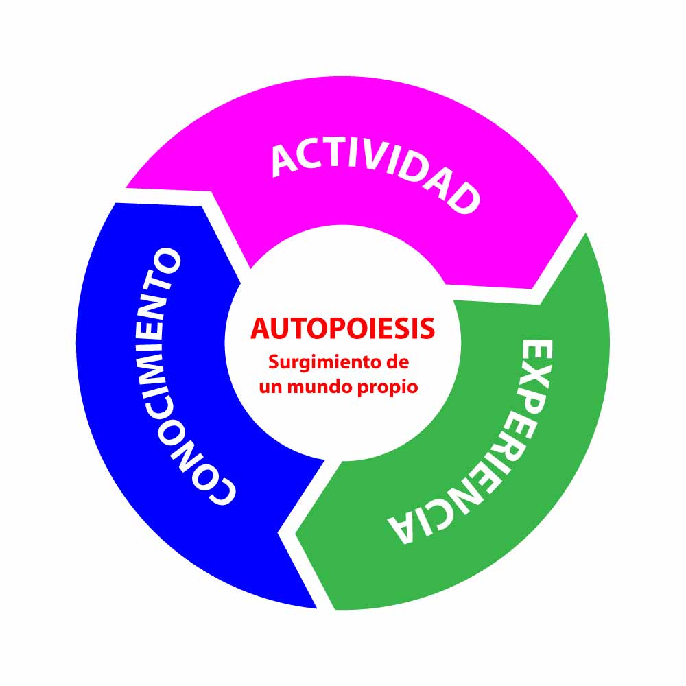 autopoiesis