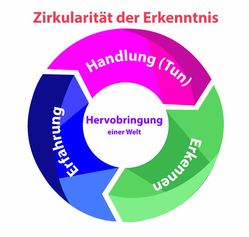 Zirkularität der Erkenntnis